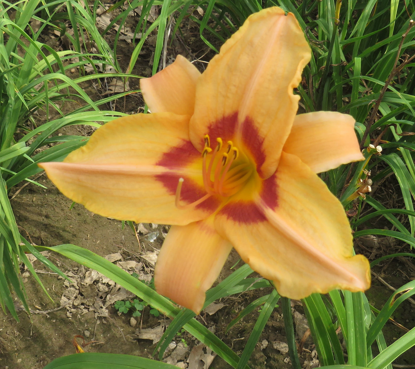 'Along the Way' (Stevens-D., 1980)