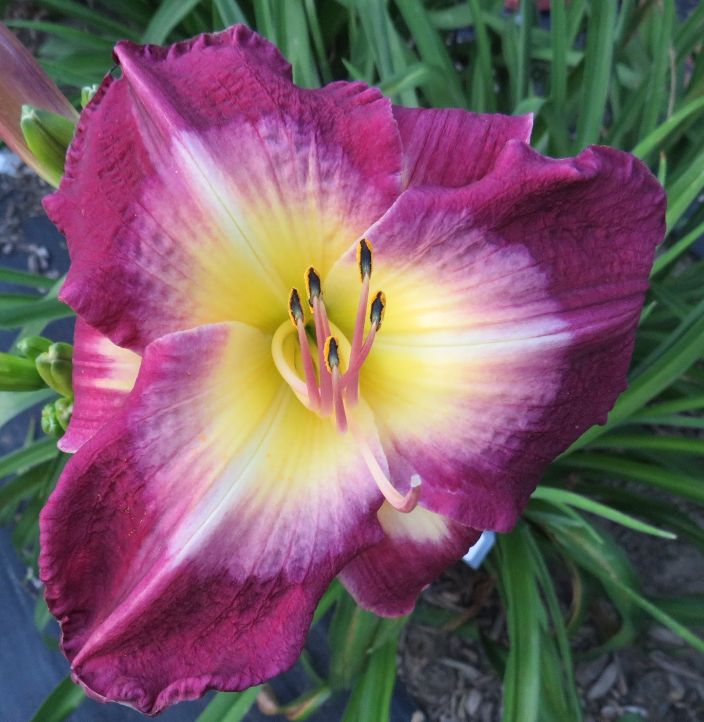 'Another Night' (Sellers, 2000)