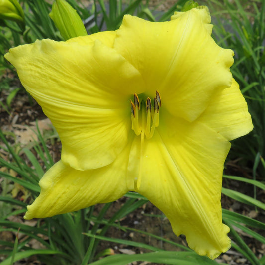 'Winning Ways' (Wild, 1963)