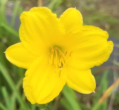 'Bitsy' (Warner, 1963)