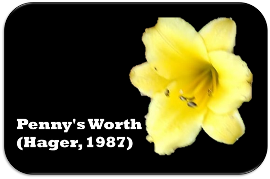 'Penny's Worth' (Hager, 1987)