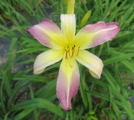 'Small World Hip-Hop Music' (Miller-M., 2007)