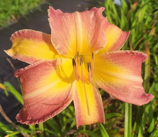 'Walking the Line' (Marlatt-J., 2021)