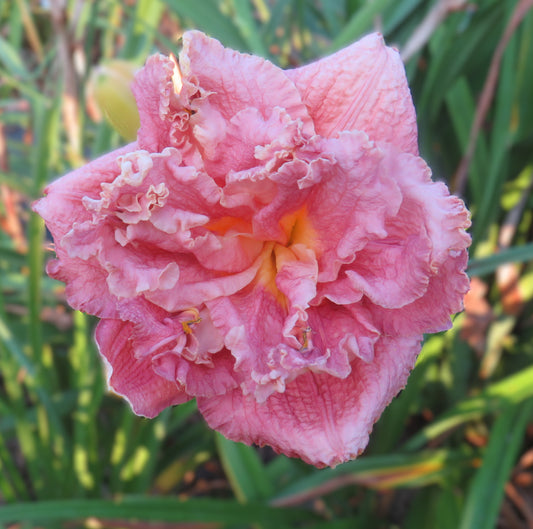 'Word of Honor' (Joiner, 2003)